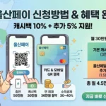 울산페이 신청방법 신청 자격·절차·충전·캐시백·사용처까지
