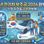 청년 전기차 보조금 썸네일