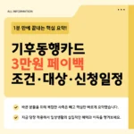 기후동행카드 3만원 페이백 조건·대상·신청일정 2026 총정리 기후동행카드 3만원 페이백 조건·대상·신청일정 2026 총정리