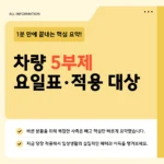 차량 5부제 시행 바로 확인