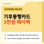 기후동행카드 3만원 환급 신청 바로가기 - 후불도 가능, 6월 전에 꼭 확인하세요 기후동행카드 3만원 환급 신청 바로가기