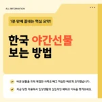 한국 야간선물 거래시간·보는법·사이트 2026 총정리 한국 야간선물 거래시간